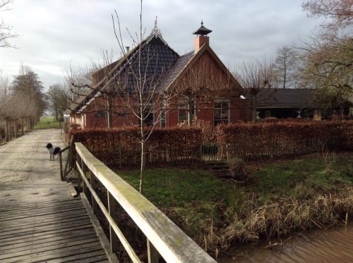 Woonboerderij Friesland
